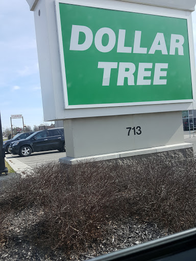 Dollar Store «Dollar Tree», reviews and photos, 713 E Main St, Brownsburg, IN 46112, USA