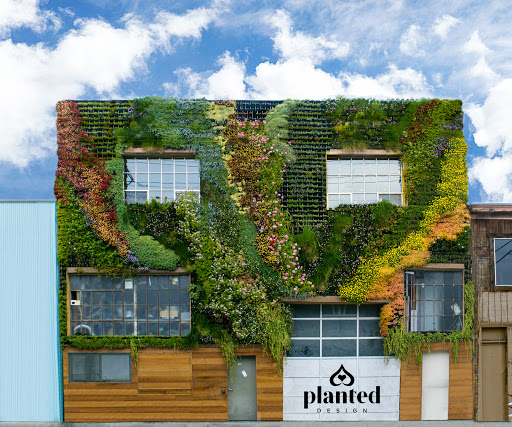 Planted Design image