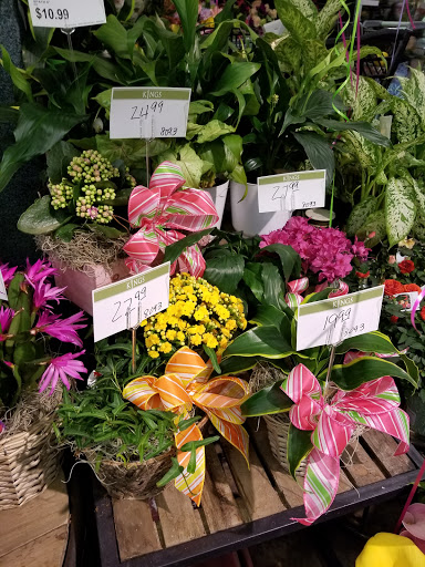 Supermarket «Kings Super Markets», reviews and photos, 100 Morristown Rd, Bernardsville, NJ 07924, USA