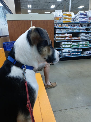 Pet Supply Store «PetSmart», reviews and photos, 2641 Lawndale Dr, Greensboro, NC 27408, USA
