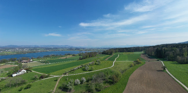 Kommentare und Rezensionen über Friedhof Maur