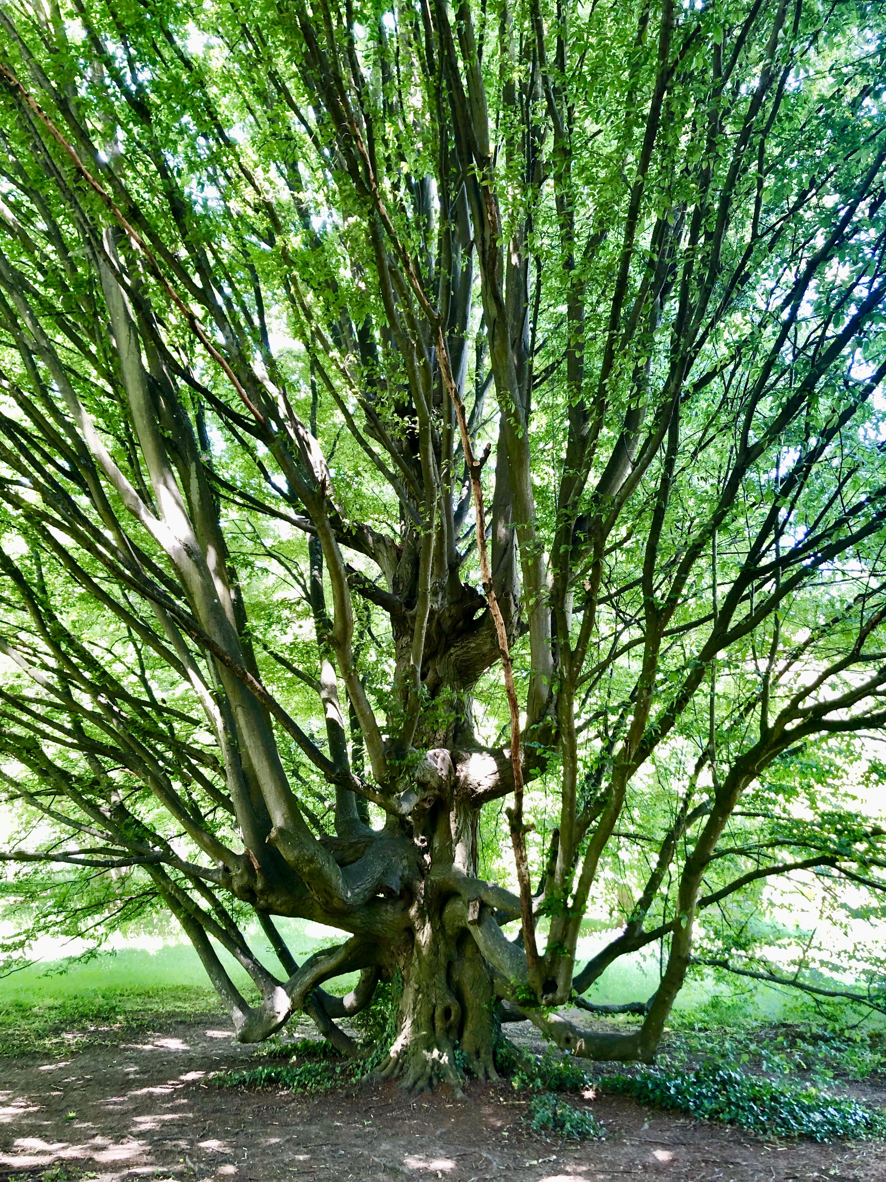Photo n° 6 de l'avis de J. fait le 31/05/2023 à 08:32