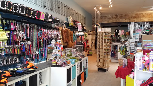 Pet Supply Store «Dog-Mania & Cats», reviews and photos, 37846 Meridian Ave, Dade City, FL 33525, USA