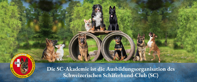 Rezensionen über SC-Akademie in Schaffhausen - Hundeschule