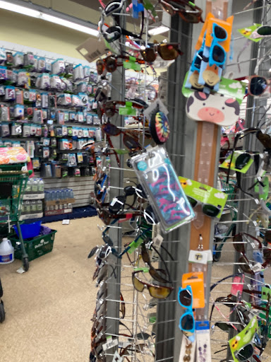 Dollar Store «Dollar Tree», reviews and photos, 148 Smith St, Perth Amboy, NJ 08861, USA