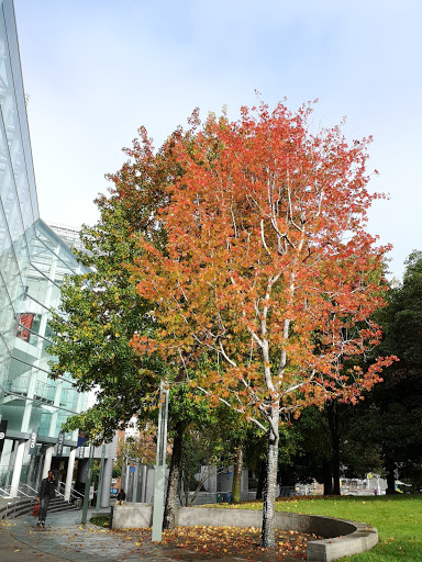 Park «Yerba Buena Gardens», reviews and photos, 750 Howard St, San Francisco, CA 94103, USA