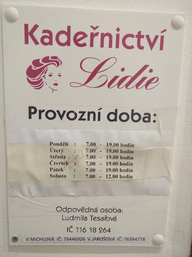 Recenze na Kadeřnictví Lidie-tesařová Ludmila v Rokycany - Kadeřnictví