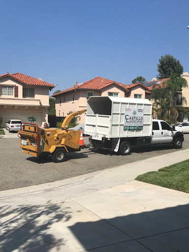 Tree service Burbank