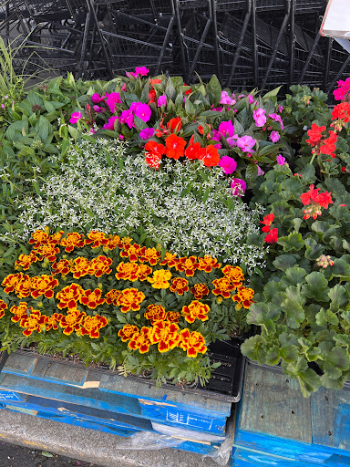 Grocery Store «Food Giant», reviews and photos, 940 S 12th St, Murray, KY 42071, USA