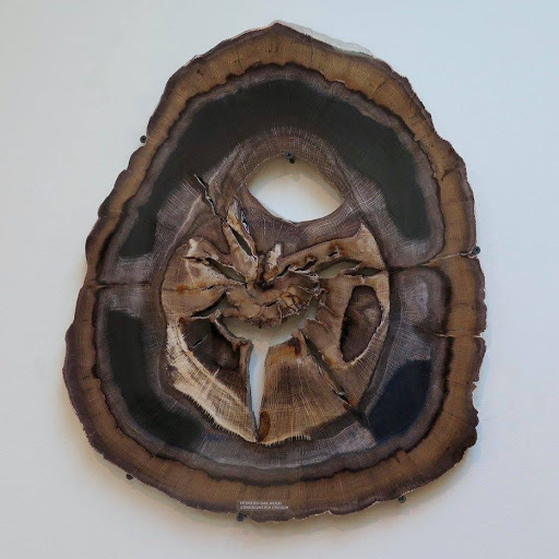 Jeweler «McMullen Jewelry Natural Stone Gallery», reviews and photos, 4717 E Douglas Ave, Wichita, KS 67218, USA