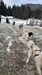 Photo n°12 de QimmiQ Aventure à Mijoux ()