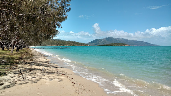Dingo Beach