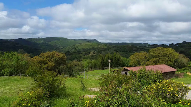 Avaliações doQuinta da Montanha em Mafra - Empresa de organização de eventos