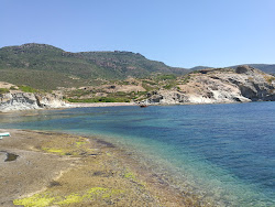 Foto di Cala Sa Codulera Beach zona selvaggia