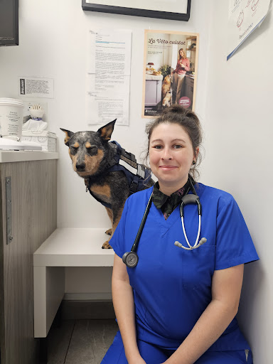 Clinique Vétérinaire de Pointe St-Charles image