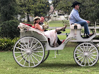 Wedding and Event Planning by Amy - Photo 5 - Car repair in , Winter Haven