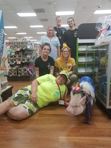 Pet Supply Store «Pet Supermarket», reviews and photos, 2585 N Atlantic Ave, Daytona Beach, FL 32118, USA