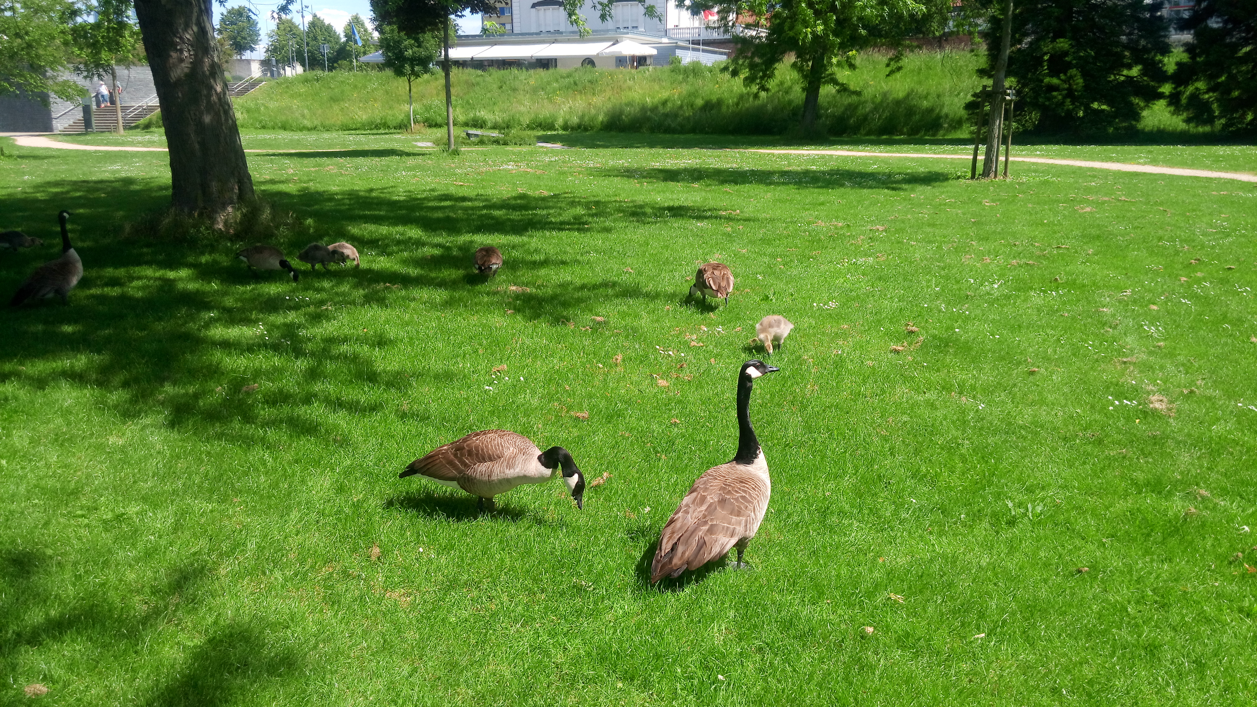 Photo n° 7 de l'avis de ArnO.. fait le 31/05/2019 à 10:26