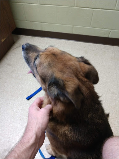 Shuler Veterinary Clinic image