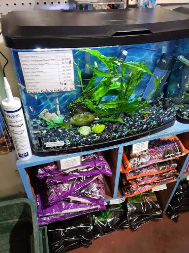 Pet Supply Store «The Fish Doctors», reviews and photos, 2703 Washtenaw Ave, Ypsilanti, MI 48197, USA