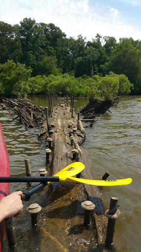 Tourist Attraction «Mallows Bay», reviews and photos, 1440 Wilson Landing Rd, Nanjemoy, MD 20662, USA