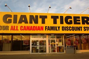 Giant Tiger image