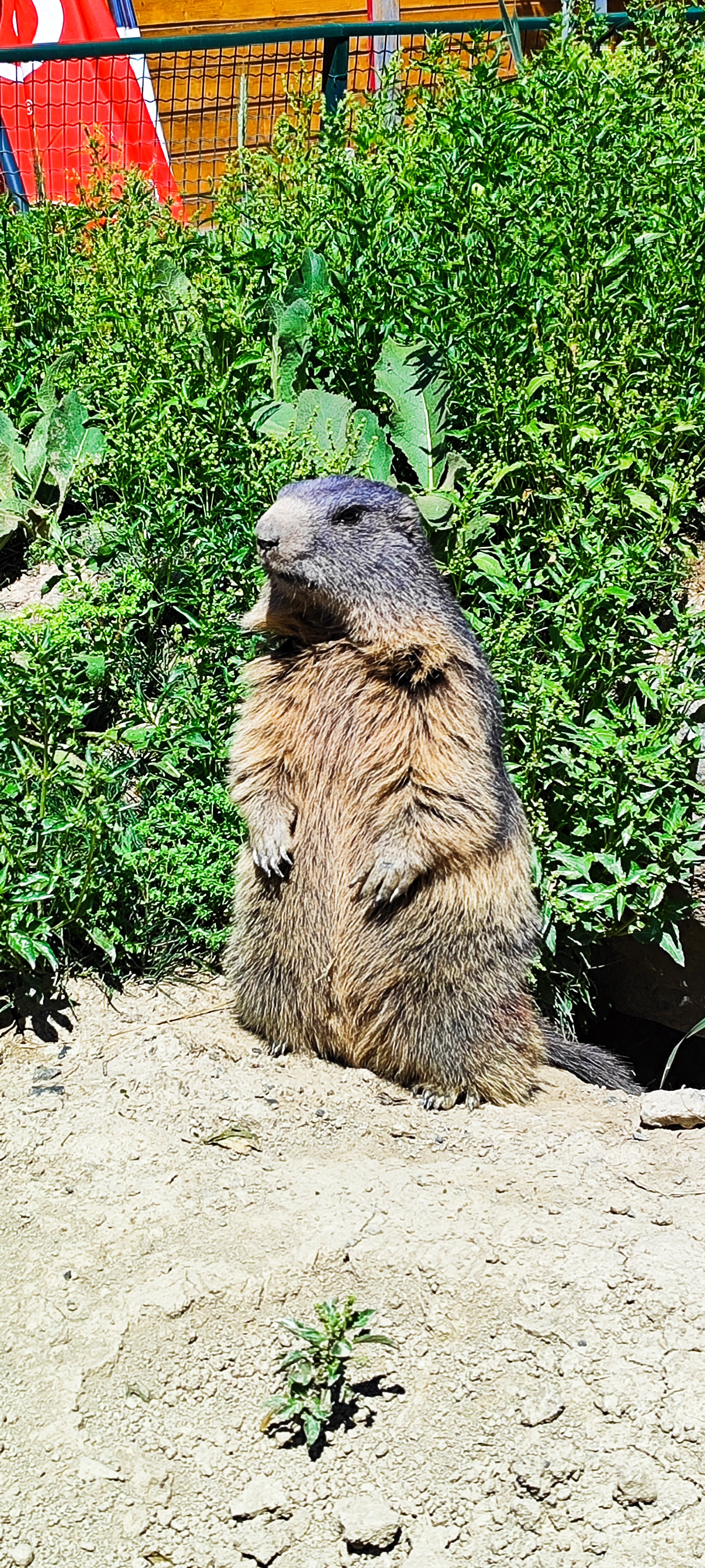 Photo n° 4 de l'avis de Sessew.T fait le 21/07/2023 à 14:48