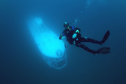 Antalya Denizaltı NEMO Submarine Tours by GO