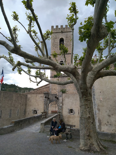 La Citadelle à Entrevaux