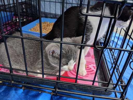 Pet Store «Pet Pals Discount Pet Foods & Supplies», reviews and photos, 3660 Soquel Dr, Soquel, CA 95073, USA