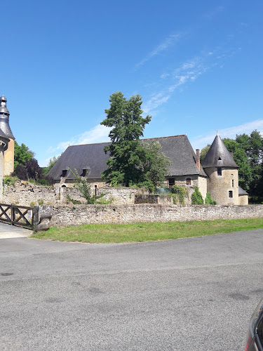 Château de Semur-en-Vallon à Semur-en-Vallon