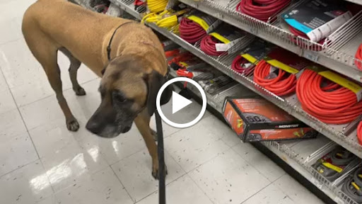 Hardware Store «Pittsburg Ace Hardware», reviews and photos, 125 E Leland Rd, Pittsburg, CA 94565, USA