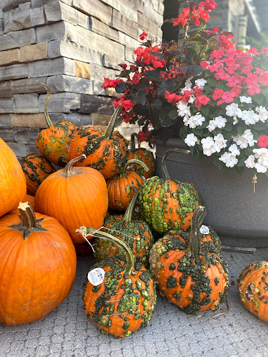 Grocery Store «Safeway», reviews and photos, 13434 Colton Pl, Oregon City, OR 97045, USA