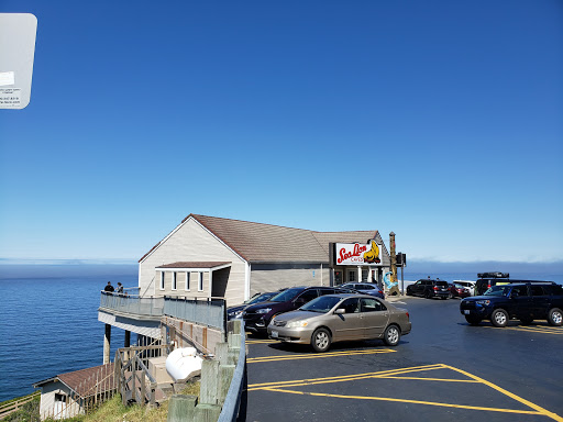 Tourist Attraction «Sea Lion Caves», reviews and photos, 91560 US-101, Florence, OR 97439, USA