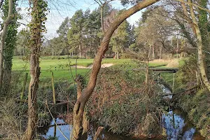 Parley Common Nature Reserve image