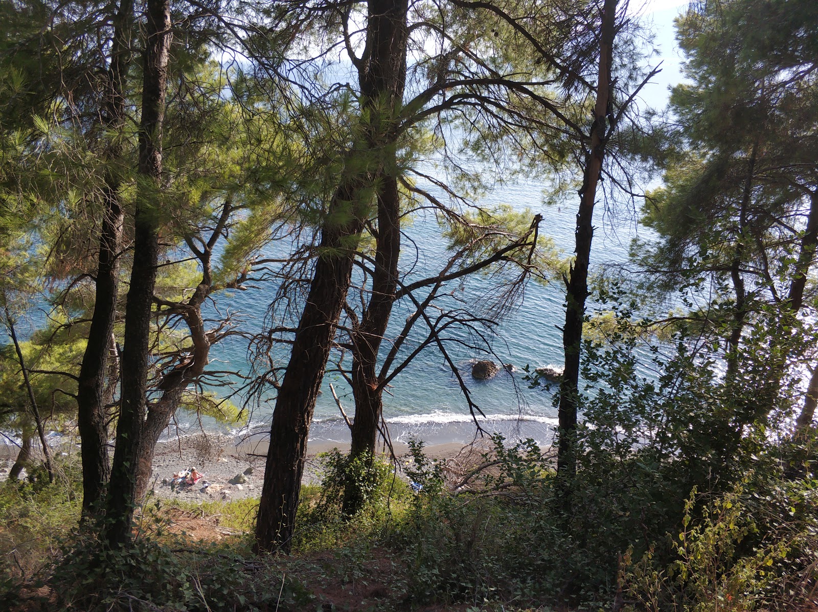 Photo de Paralia Vithisma - endroit populaire parmi les connaisseurs de la détente