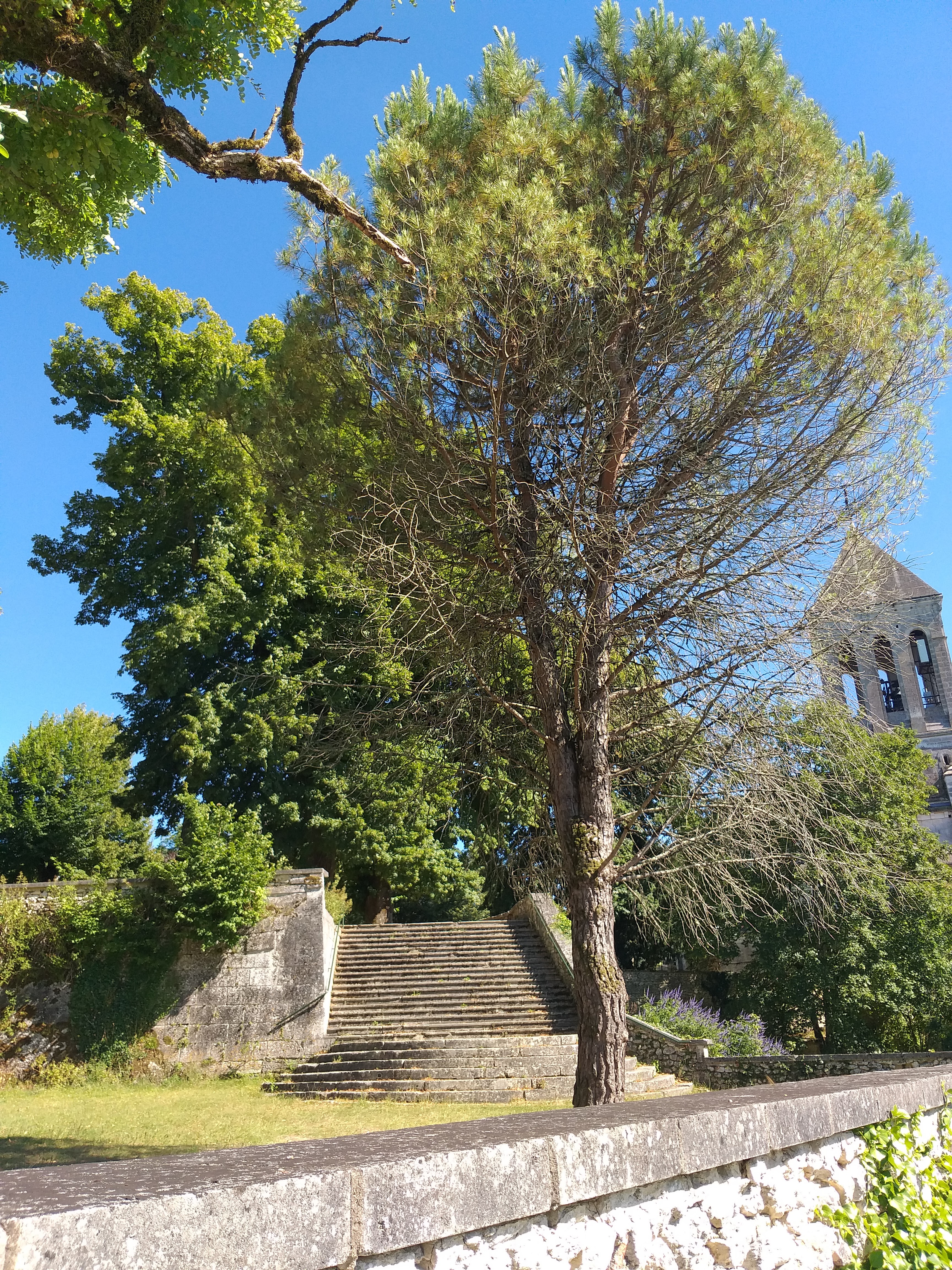 Photo n° 6 de l'avis de christelle.a fait le 16/07/2023 à 16:27
