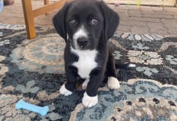 Insurance Agency «Allstate Insurance Agent: Cheryl Bowker», reviews and photos