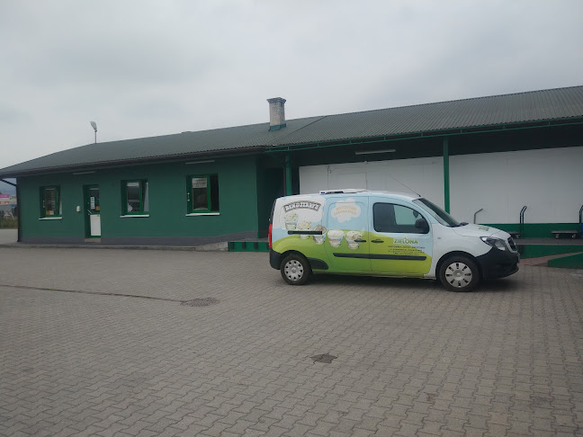 Hurtownia Lodów i Mrożonek Zielona J. Maniecki, Ł. Pazdur sp. j. - Lodziarnia