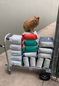 Healthy Pet - Lakeline Austin - Photo 4 - Car repair in Austin, TX, Austin