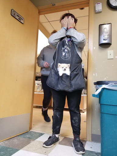 Pet Store «Perfect Pets», reviews and photos, 6840 S University Blvd #410, Centennial, CO 80122, USA