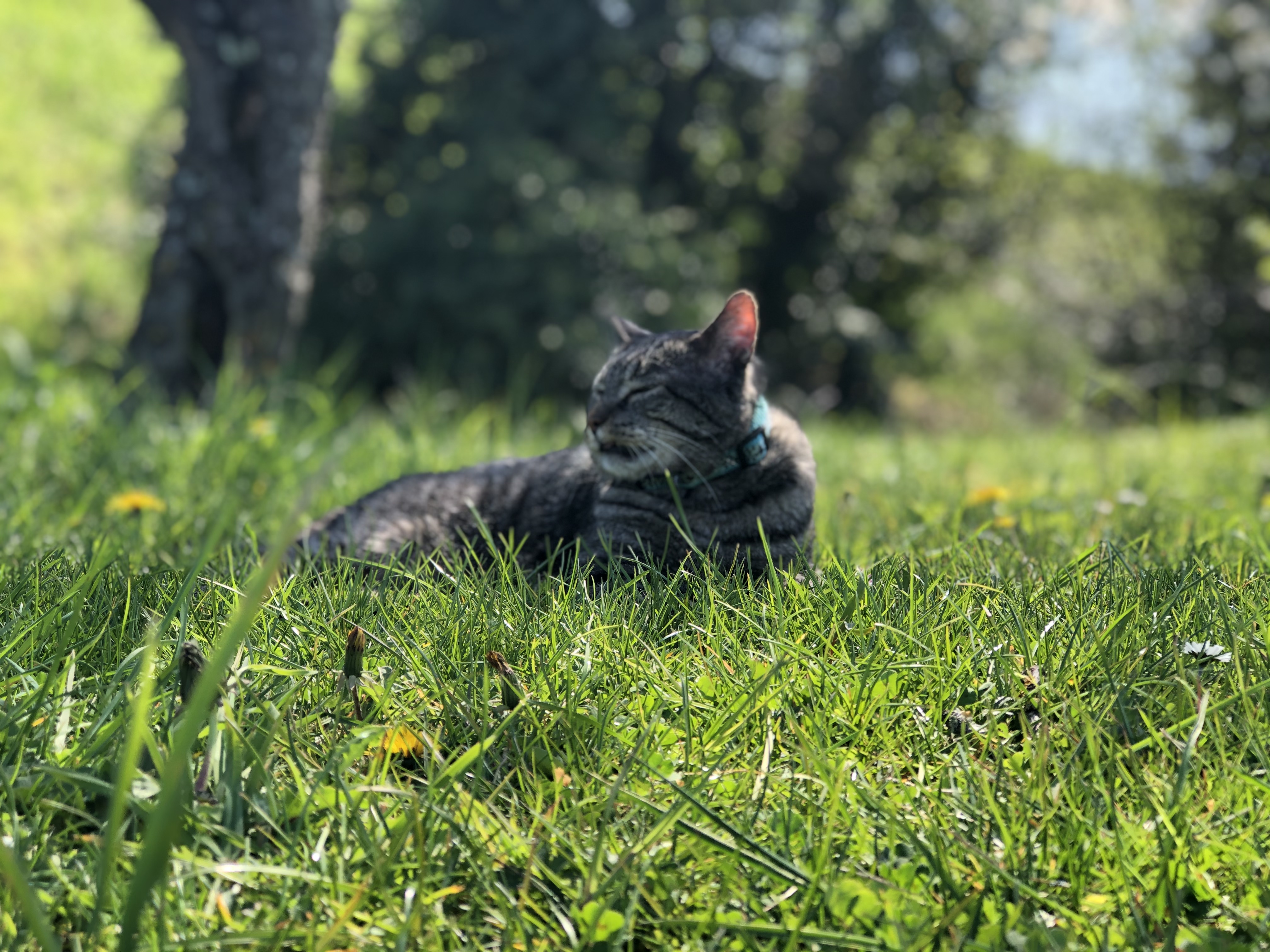 Photo n° 5 de l'avis de Elisa.r fait le 06/10/2017 à 09:31