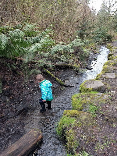 Park «Cowen Park», reviews and photos, 5849 15th Ave NE, Seattle, WA 98105, USA