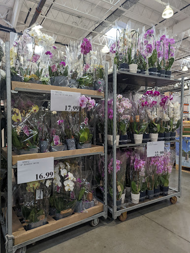 Warehouse store «Costco Wholesale», reviews and photos, 14 Lightcap Rd, Pottstown, PA 19464, USA