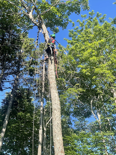 Baker Tree Services
