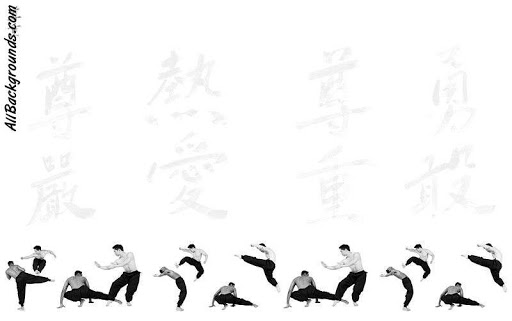 Martial Arts Supply Store «MAC Sports Supplies», reviews and photos, 10756 SW 24th St, Miami, FL 33165, USA