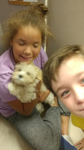 Pet Store «Petland», reviews and photos, 920 Hebron Rd, Heath, OH 43056, USA