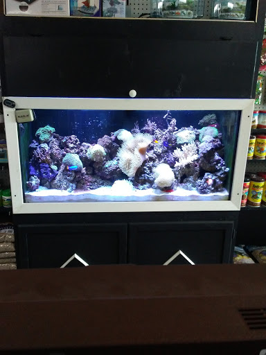 Aquarium «Crystal Reef Aquariums», reviews and photos, 311 Pass Rd, Gulfport, MS 39507, USA