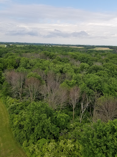 Tourist Attraction «Cordova Observation Tower», reviews and photos, 1293 Emerald Ave, Otley, IA 50214, USA