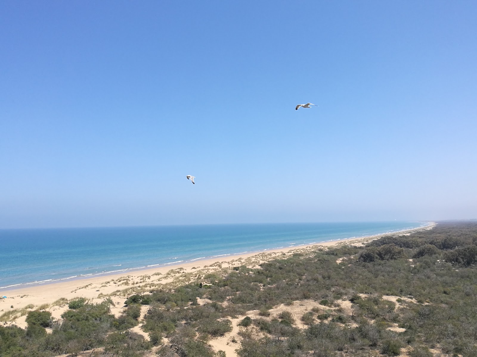 Plage Ras El-Ma'in fotoğrafı geniş plaj ile birlikte